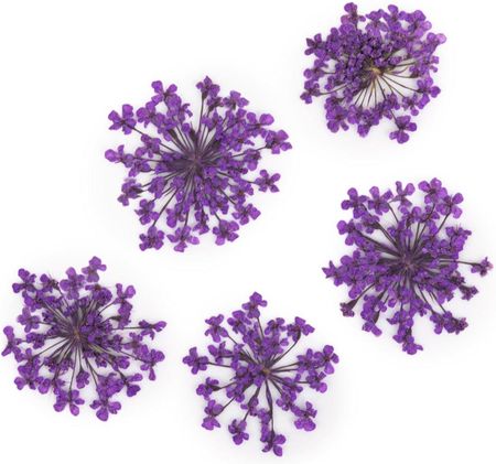 Suszone Kwiatki Do Paznokci Purple Fioletowe Kwiaty Do Zdobień Mollylac - zdjęcie 2