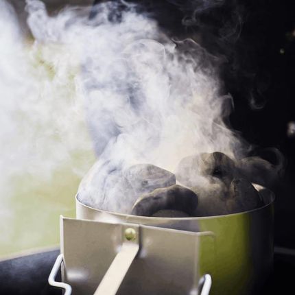 Weber Brykiet Ze Skorup Kokosa 8kg Certyfikowany Partner World - zdjęcie 2
