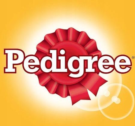 Pedigree Junior Sucha Karma Drób Średnie I Duże Rasy 12Kg - zdjęcie 2
