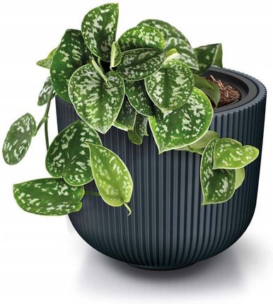 Prosperplast Doniczka Z Wkładem Milly Dbml240 Średnica 24Cm Biała Dbml240S449 - zdjęcie 3