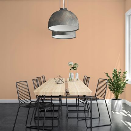 Q-Cover Farba Ceramiczna Brzoskwiniowy Brzoskwinia Głęboki Mat 5L - zdjęcie 2