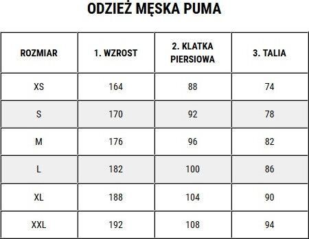 Puma Koszulka Męska Teamultimate Zielona 705371 05 - zdjęcie 3