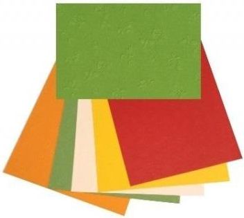 Zdjęcie Galeria Hobby Karton Wytłaczane Róże 220G 25X35Cm 5 Ark Mix - Prószków