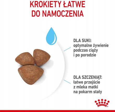 Royal Canin Mini Starter Mother & Babydog Karma Sucha Dla Suk W Ciąży I Okresie Laktacji Oraz Szczeniąt Od 4 Do 8 Tygodnia Ras Małych 8Kg - zdjęcie 3