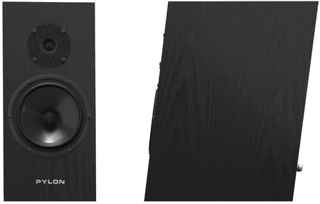 Pylon Audio Diamond Monitor 18 mkII - zdjęcie 2