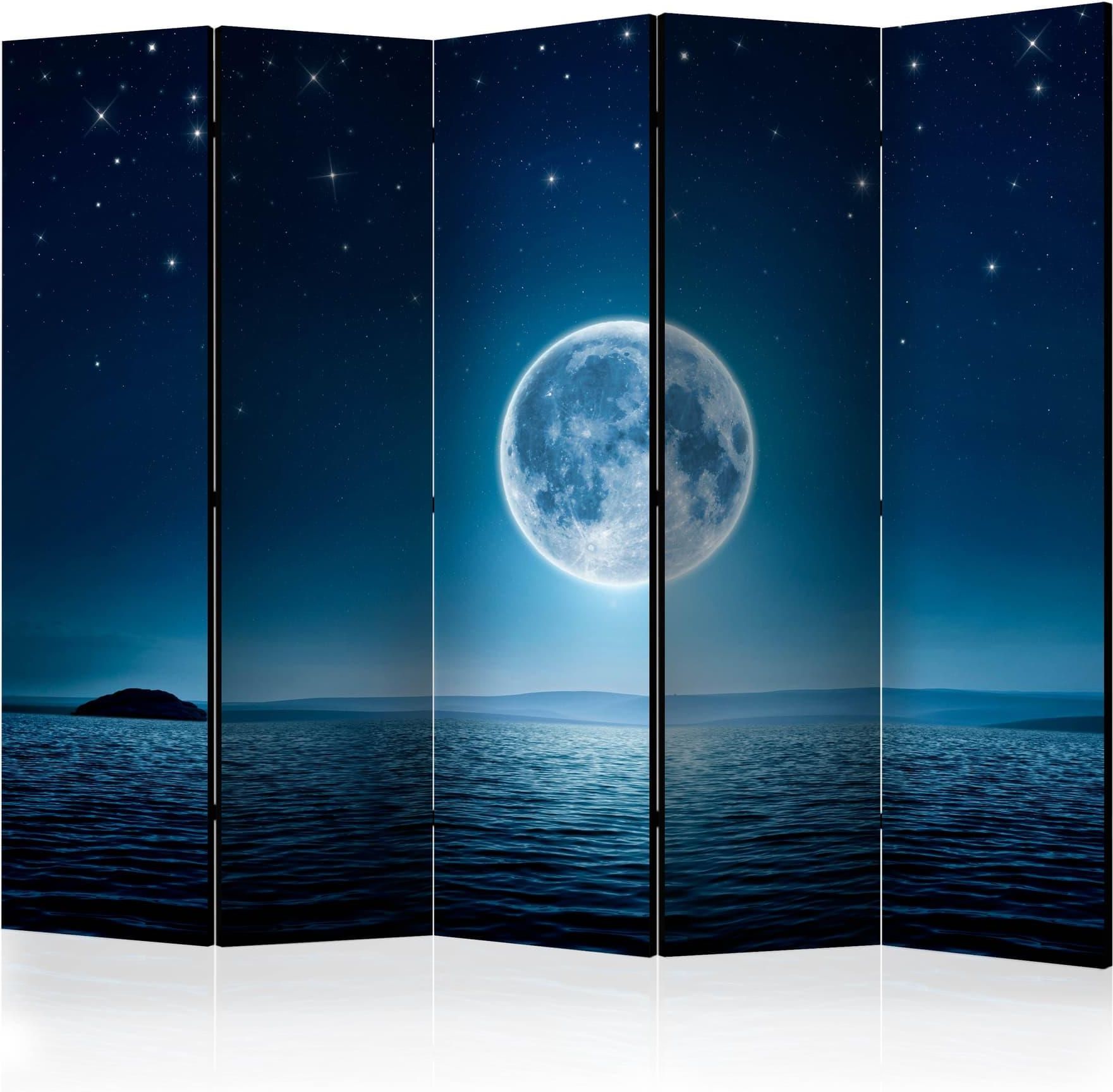 Artgeist Parawan Ksi Ycowa Noc Ii Room Dividers X Akustyczny