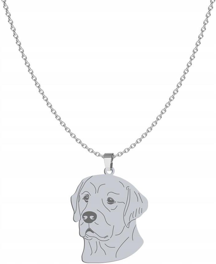 Mejk Jewellery Srebrny Naszyjnik Z Psem Golden Retriever Ceny I