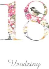 Zdjęcie Mak Karnet Urodziny 18 Dl T01 Ptaszek - Nowe Brzesko