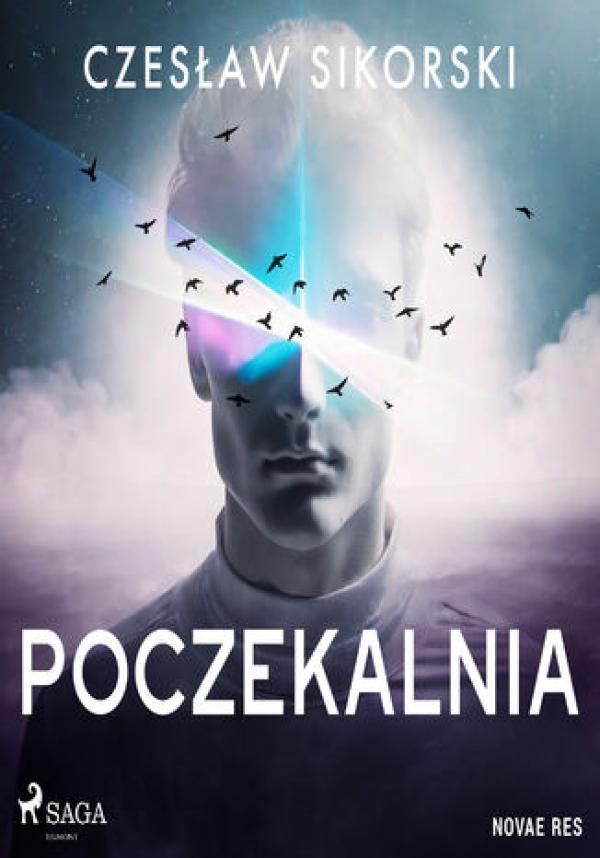 Poczekalnia Audiobook Ceny I Opinie Ceneo Pl