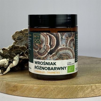 MYQO Wrośniak Różnobarwny Coriolus Versicolor BIO - 100g - zdjęcie 5
