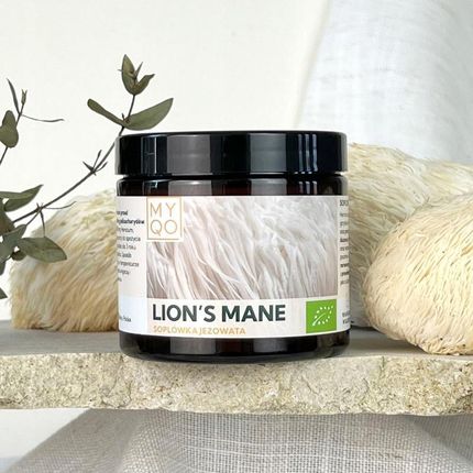 MYQO Soplówka Jeżowata Lion's Mane Hericium BIO 500mg - 90k - zdjęcie 5