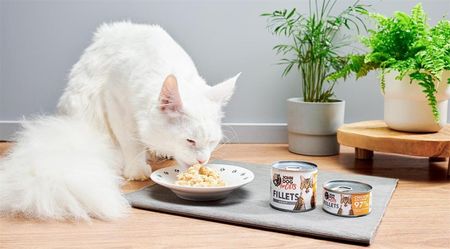 John Dog For Cats Dorosły Kot Kurczak Z Krewetkami Filety 140G - zdjęcie 2