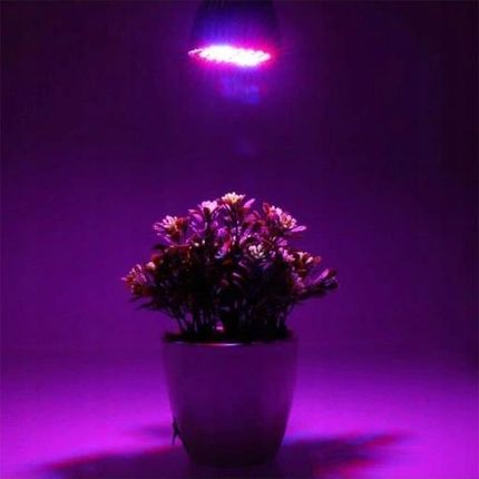 Żarówka Led Grow Light Do Uprawy Roślin 50W E27 - zdjęcie 6