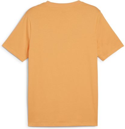 Męska Koszulka z krótkim rękawem Puma Desert Road Graphic Tee 67970546 – Pomarańczowy - zdjęcie 2