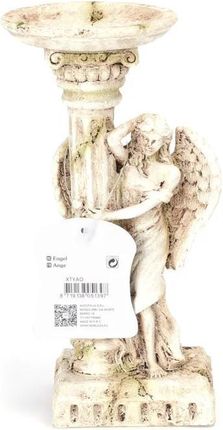 Nobleza Anioł (B40803XTY) - zdjęcie 3