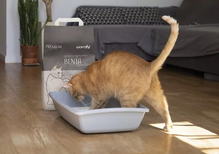 Comfy Żwir Benta New Standard 10L (259204) - zdjęcie 5