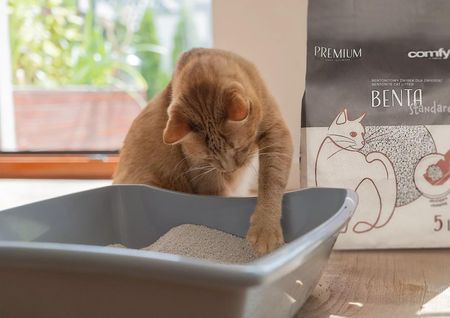 Comfy Żwir Benta New Standard 10L (259204) - zdjęcie 4