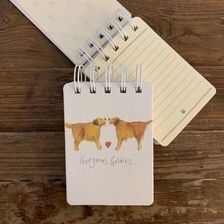 Zdjęcie Kołonotes A7 Ssn15 Golden Retriever - Alwernia
