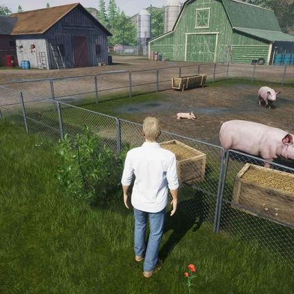 My Life Farm Vet (Gra NS) - zdjęcie 2