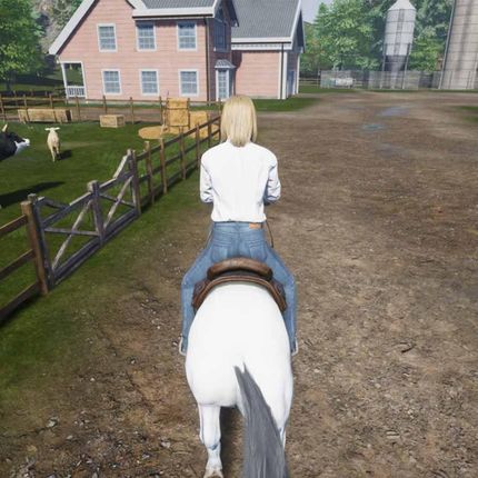My Life Farm Vet (Gra NS) - zdjęcie 3