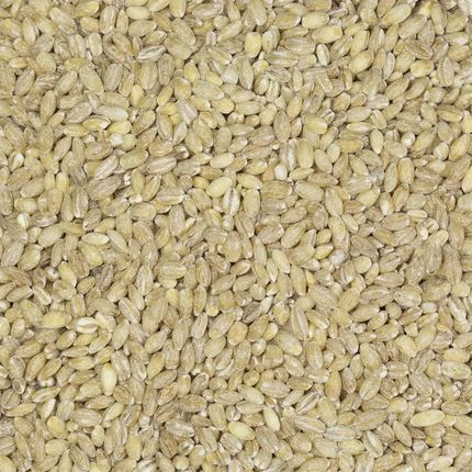 Brat.Pl Kasza Pęczak 500g - zdjęcie 2
