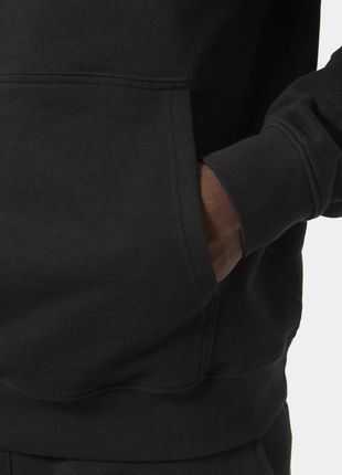 Helly Hansen męska bluza z kapturem CORE GRAPHIC SWEAT HOODIE 53924 993 - zdjęcie 2