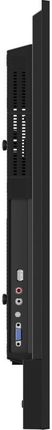 Iiyama 50