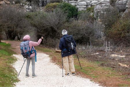 Kije do Nordic Walking 2 Kijki Trekkingowe do Chodzenia Regulowane Składane TRIZAND - zdjęcie 2