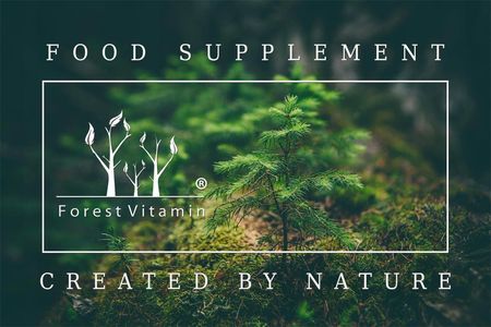 Forest Vitamin GABA KWAS GAMMA AMINOMASŁOWY 100tabl SEN ODPOCZYNEK MOCNY - zdjęcie 3