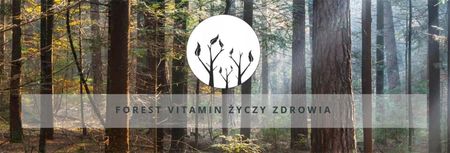 Forest Vitamin LECITHIN Lecytyna Sojowa Pamięć Koncentracja 100kaps 1200mg - zdjęcie 2
