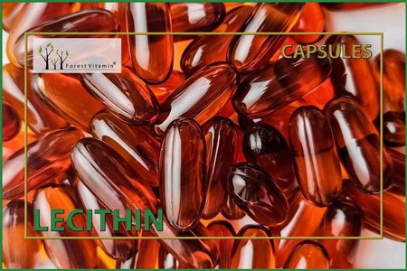 Forest Vitamin LECITHIN Lecytyna Sojowa Pamięć Koncentracja 100kaps 1200mg - zdjęcie 3