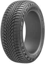 Maxxis Premitra Snow WP6 225/60R18 104V XL