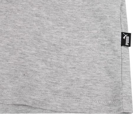 Koszulka męska Puma Graphics Summer Sports Tee II szara 627909 04 - zdjęcie 3