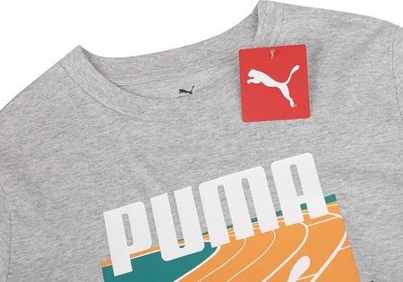 Koszulka męska Puma Graphics Summer Sports Tee II szara 627909 04 - zdjęcie 3
