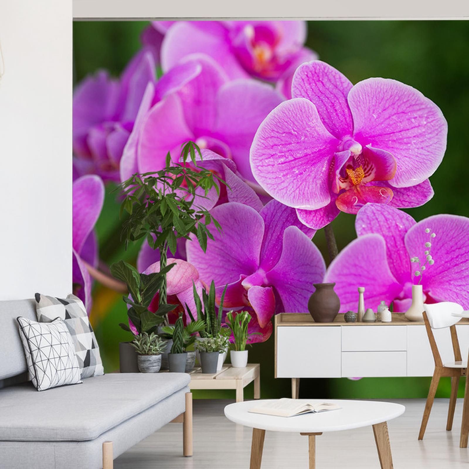 Doboxa Fototapeta Kwiaty Orchidei 3D Vinyl 368X254 Opinie I Ceny Na