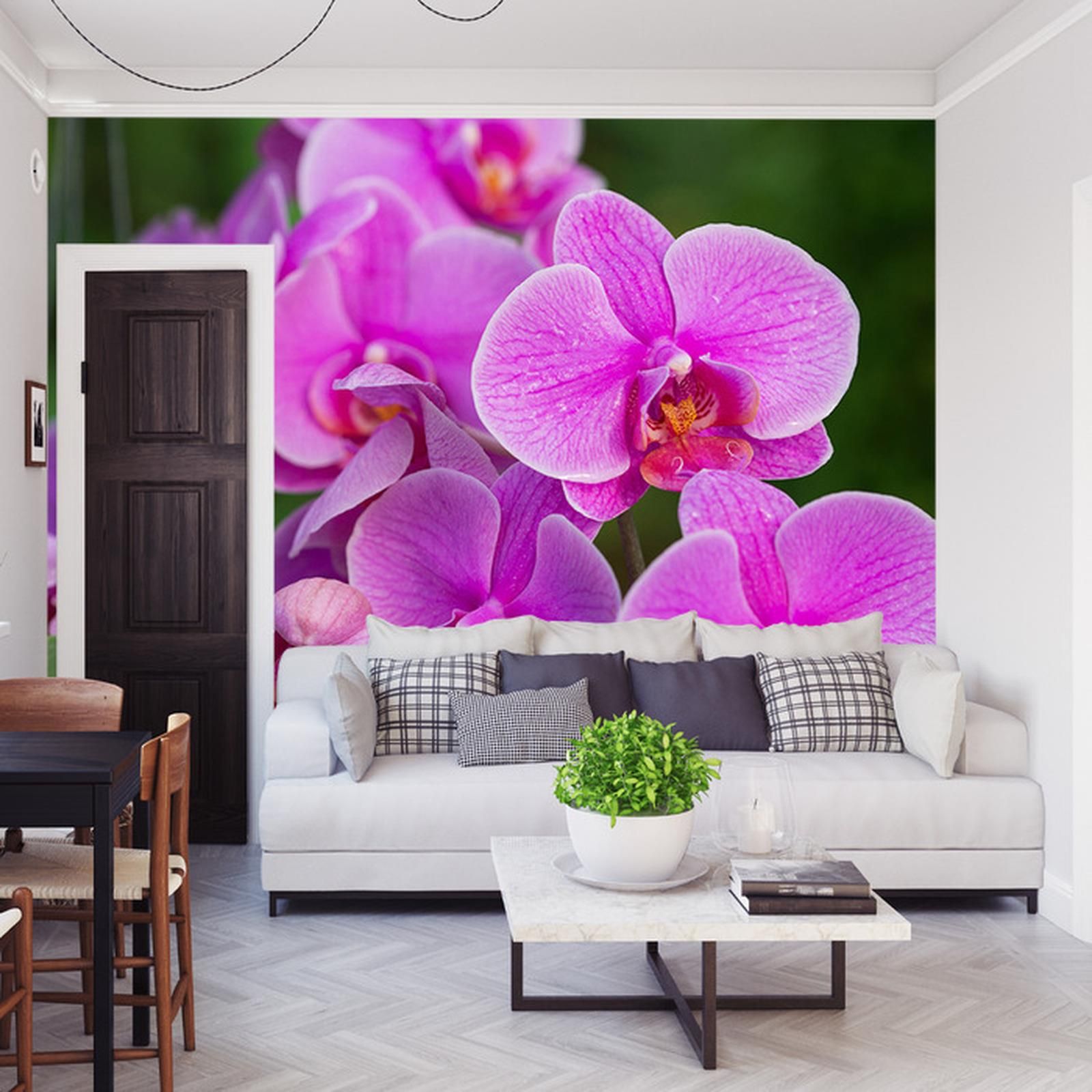 Doboxa Fototapeta Kwiaty Orchidei 3D Vinyl 368X254 Opinie I Ceny Na