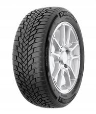 Petlas Snowmaster 2 195/65R15 95H XL