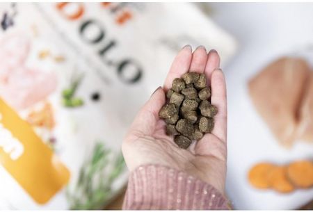 Ydolo Chicken Kurczak I Ryby Półwilgotna Karma Dla Psa 10Kg - zdjęcie 2