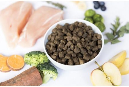 Ydolo Chicken Kurczak I Ryby Półwilgotna Karma Dla Psa 10Kg - zdjęcie 6