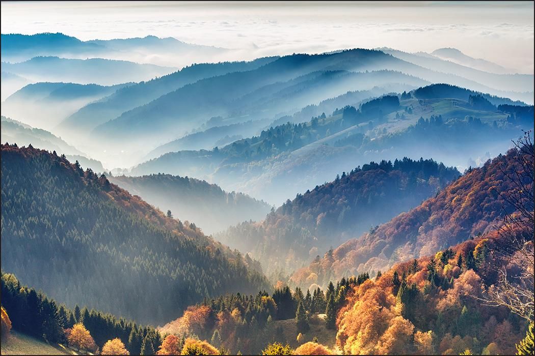 Muralo Fototapeta Krajobraz Z Widokiem Na Zamglony Las G Ry Natura