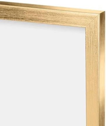 Knor Ramka na zdjęcia 24x30 cm Złota, zestaw 10 ramek na plakaty - zdjęcie 4