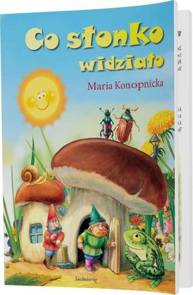 Co słonko widziało - zdjęcie 6