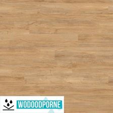 Zdjęcie Gerflor Rigid 30 Lock Kilda Golden Kl 23-31 4mm - Bytom