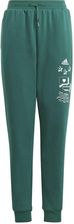 Zdjęcie Spodnie adidas BLUV Q3 Pant Jr IA1553 - Dobczyce