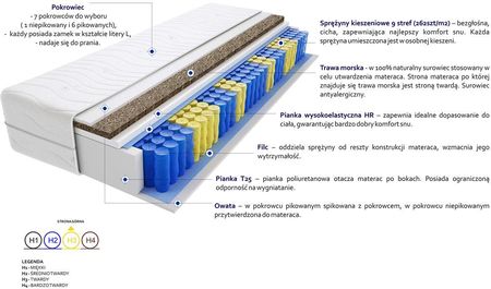 Godre Bruksela Trawa Max Plus 160x220 - zdjęcie 2