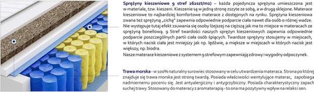 Godre Bruksela Trawa Max Plus 100x190 - zdjęcie 3