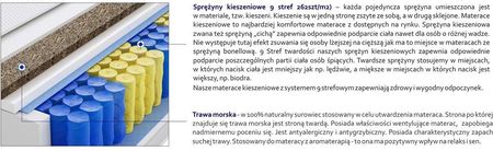 Godre Praga Trawa Max Plus 120x220 - zdjęcie 4