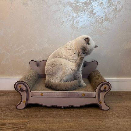 Drapak Tekturowy Dla Kota Legowisko Karton Kartonowy Sofa Leżak Kanapa 60Cm Purlov - zdjęcie 4