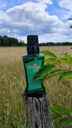 Pasta do zębów SmileUp - Moc pięciu naturalnych składników - 75 ml o smaku mango-mięta - zdjęcie 4