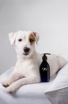 Naturalny Szampon Wzmacniający Dla Psów Do Każdego Typu Sierści Oczyszcza - zdjęcie 5
